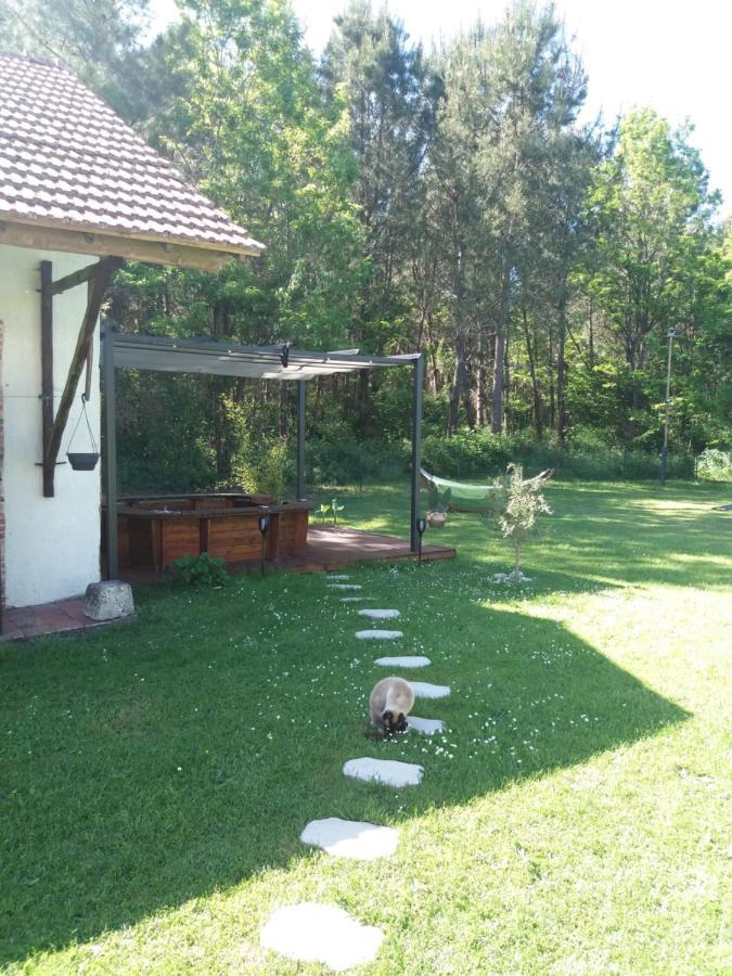 Les Eygletieres Bed & Breakfast Bourriot-Bergonce Ngoại thất bức ảnh